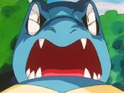 Totodile tries to scare Charizard