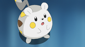 Sophocles' Togedemaru