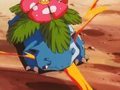 Venusaur is attacked by Flamethrower