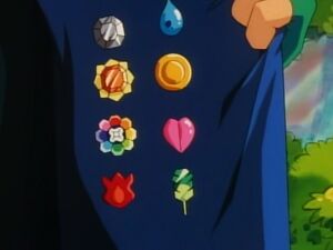 Ash's Kanto Badges.