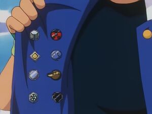 Ash's Johto Badges.