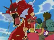 May, Max and Brock face the red Gyarados