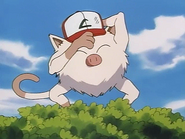 Primeape as a Mankey teasing Ash