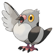 Pidove