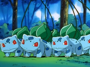 As Bulbasaur