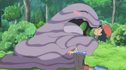 Ash and Muk