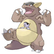 0115Kangaskhan