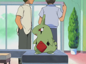 Ash's Larvitar