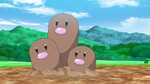 Goh gave away his Dugtrio to Laxton to help him cultivate the soil on the farm, along with the Diglett.