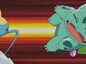 Surskit attacks Bulbasaur