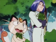 James and Meowth