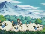 The farmer owned a herd of Mareep.