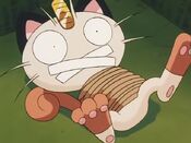 Meowth gets tied up