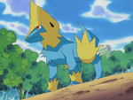 At New Mauville, Wattson befriended an Electrike, who helped him battle against Team Rocket. Seeing how Electrike was fond of him, Wattson befriended Electrike. Later on, Electrike battled Team Rocket, who stole the heroes' Pokémon. After the battle, Electrike evolved into Manectric and fought against Ash's Torkoal.