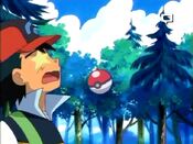 Ash gets hit by the Poké Ball