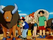 Ash prepares to go ride Tauros