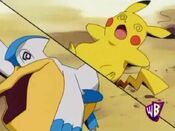 Pelipper and Pikachu are defeated at the same time