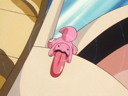 Supersonic being used by Jessie's Lickitung.