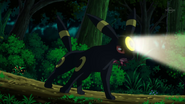 Flash being used by Virgil's Umbreon.