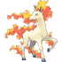 Rapidash