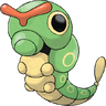 Caterpie