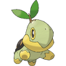 Turtwig