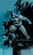 Bruce Wayne/Batman (DC Comics)