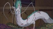 Haku (Spirited Away) a spirit that is capable of transforming into a dragon.