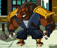 Kojima, (Teenage Mutant Ninja Turtles 2003 TV series) an anthropomorphic boar.