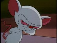 The Brain (Pinky and the Brain) is a lab mouse who got his genes spliced giving him enhanced intelligence.