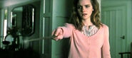 Hermione Granger (Harry Potter) wipes her parent's memories with the spell Obliviate.