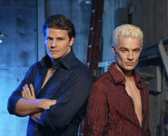 Angel and Spike's (Buffyverse) alluring good looks and combat prowess are matched by their prowess in the bedroom...