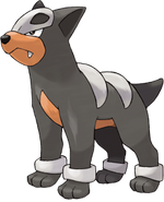 Houndour (Pokémon)