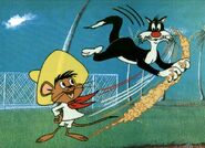 Speedy Gonzales (Lonney Toons) is an incredibly fast mouse.