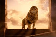 Aslan (The Chronicles of Narnia)