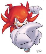 Knuckles the Echidna (Sonic the Hedgehog) makes use of his powerful fists to take on his foes, with his specialty lying in punching moves where he uses his spiked fists for devastating blows.