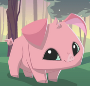 Pig (Animal Jam)