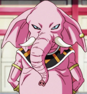 Rumsshi (Dragon Ball Super) was the God of Destruction of Universe 10.