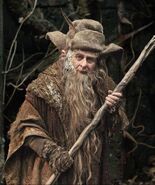 ...Aiwendil who became known as Radagast...