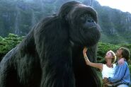 Mighty Joe Young (Mighty Joe Young)