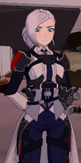 As an official Huntress, Winter Schnee (RWBY) has more skilled and experienced in handling her rapiers compared to her younger sister, showcasing a much more offensive and aggressive style with or without the aid of her Semblance.