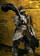 Havel the Rock (Dark Souls) wields Dragon Tooth, a legendary great hammer made from the tooth of an everlasting dragon.