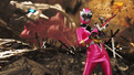 Previous Pink Ranger (First User; Formerly)