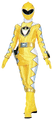  AbareYellow/Yellow Dino Thunder Ranger (action)