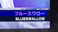 Blueswallow 2