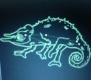 Chameleon / Chamaeleon Constellation