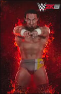 Adrian Neville