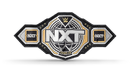 NXT Championship 2024