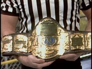 WCW World Heavyweight Championship (only used at The Great American Bash 1991)