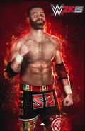 Sami Zayn